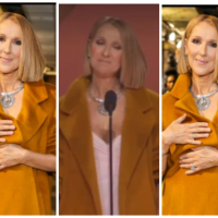 ‘I’ll be remembered for my classics even if I stop singing’ – Singer Celine Dion
