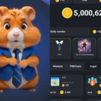 “You Want to Become Millionaire by Tapping Your Phone” – Tutor Mocks Hamster Kombat’s CEOs