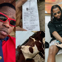 Fekomi gifts Yhemolee 10 cows worth over N10 million ahead of his wedding