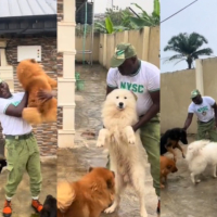 Dog Lover Shares How His Dogs Welcomed Him After 3 Weeks at NYSC Camp