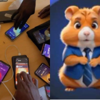 Tears Flows as Hamster Kombat CEO’s Receives as Little As $0.75 Or Even Less After Months of Intense Mining
