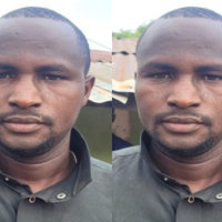 I Earn N7m Annually From Growing Tomato, Pepper — Gombe Farmer reveals