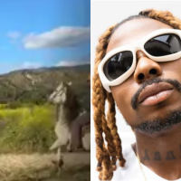 Video of singer Asake teaching horse how to dance goes viral