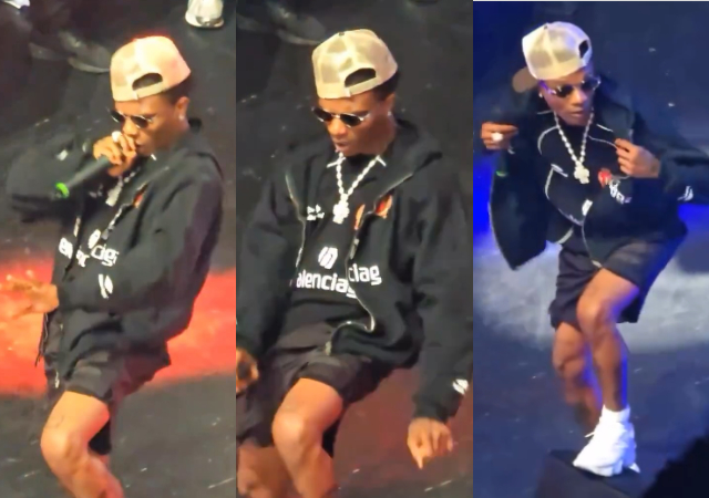 Wizkid thrills many with performance at Seyi Vibez concert in London