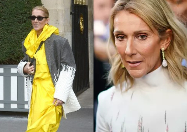 Singer Celine Dion charges $2m to perform one song at Olympic ceremony