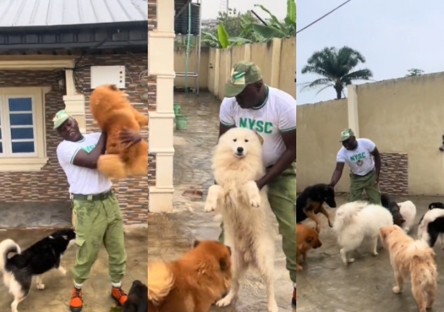 Dog Lover Shares How His Dogs Welcomed Him After 3 Weeks at NYSC Camp